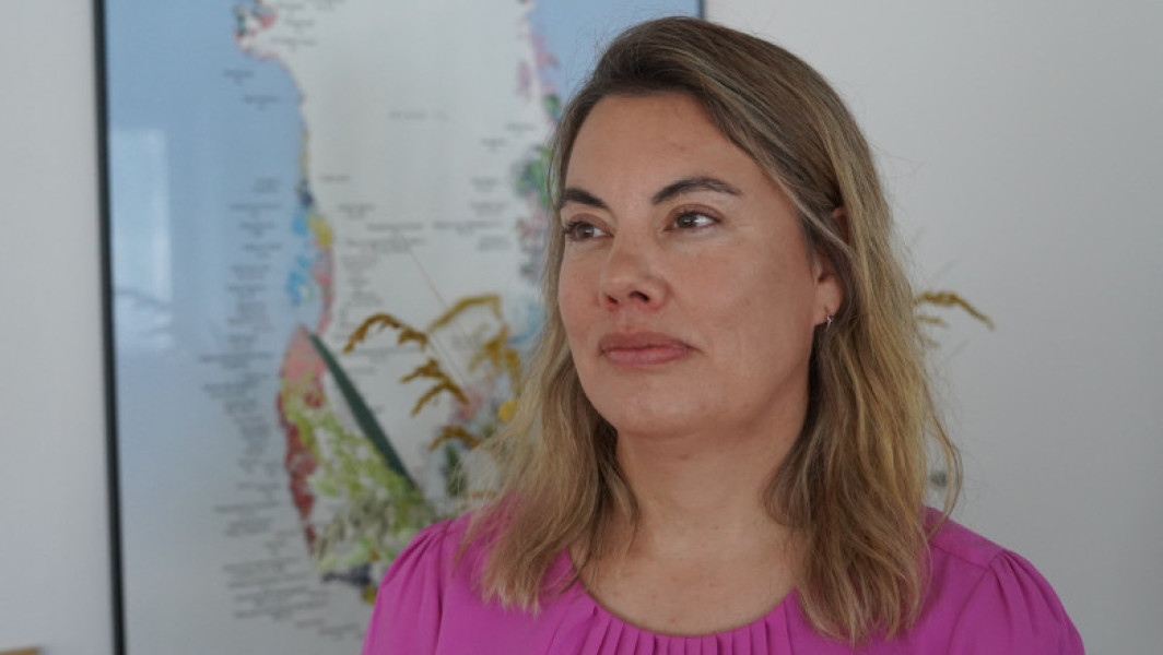 Companiile miniere trebuie să investească în Groenlanda pentru a evita căutarea ajutoarelor externe