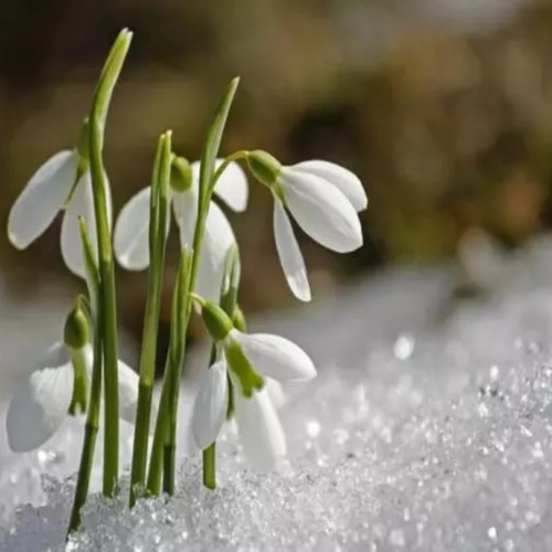 Prognoza meteo pentru februarie: cum va fi vremea în următoarele 4 săptămâni