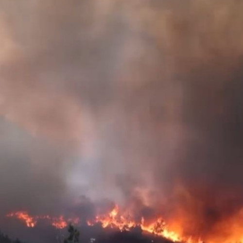 O menajeră este acuzată că a provocat unul dintre incendiile devastatoare din insula grecească Chios