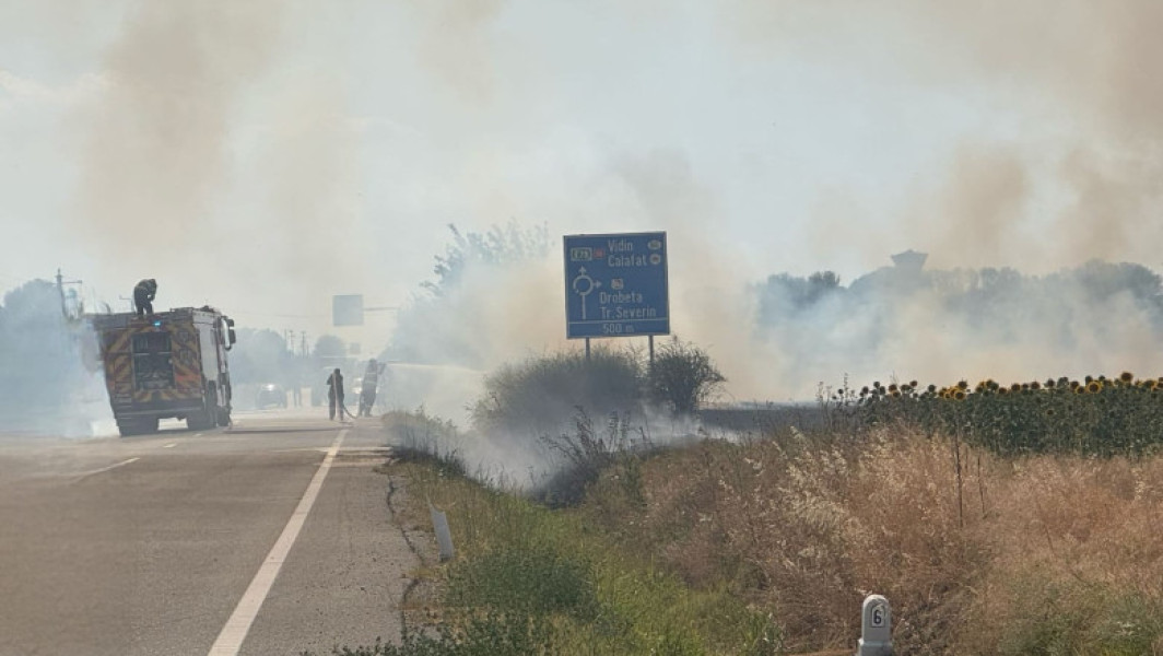 Video Incendiu puternic de vegetaţie la Maglavit, în Dolj, pe o suprafață de 70 – 80 hectare. Traficul rutier a fost deviat