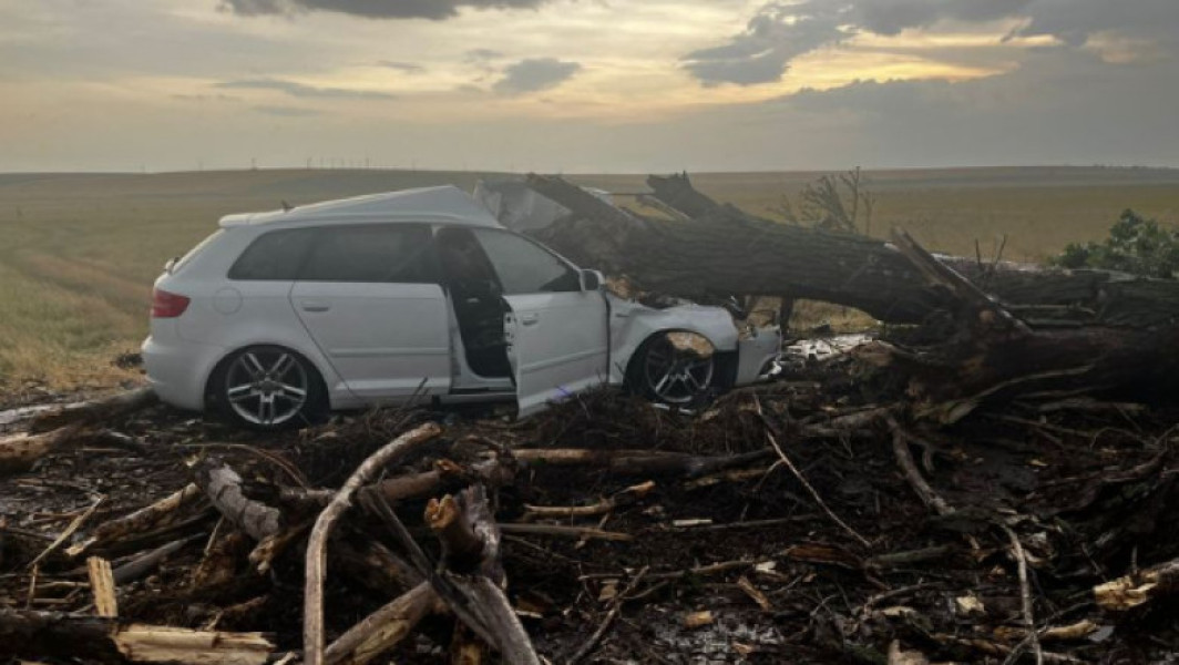 Foto Un copac doborât de vânt a căzut peste o maşină în care se aflau două femei şi doi copii, în Teleorman
